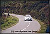 Panizzi-206-WRC.jpg